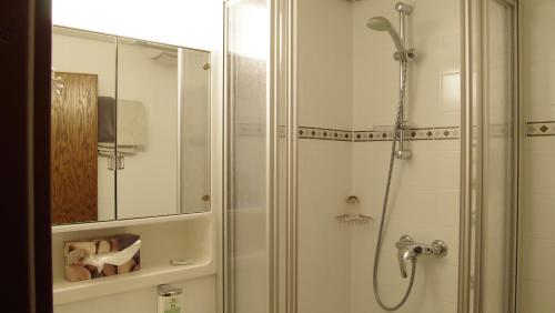 舍姆贝格奥赫森兰德加特酒店的带淋浴的浴室和玻璃门