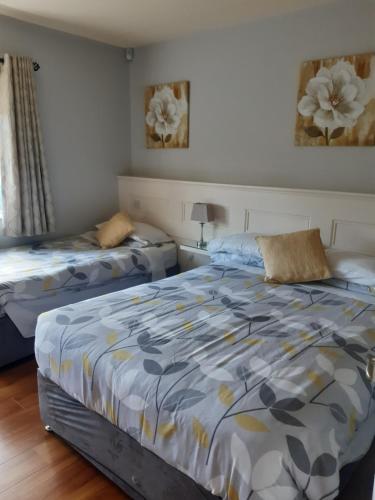 基拉尼Green Acres Guesthouse- Accommodation Only的一间卧室设有两张床和窗户。
