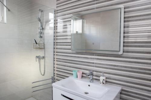 别洛瓦尔Apartmani Murić - Ena的白色的浴室设有水槽和镜子