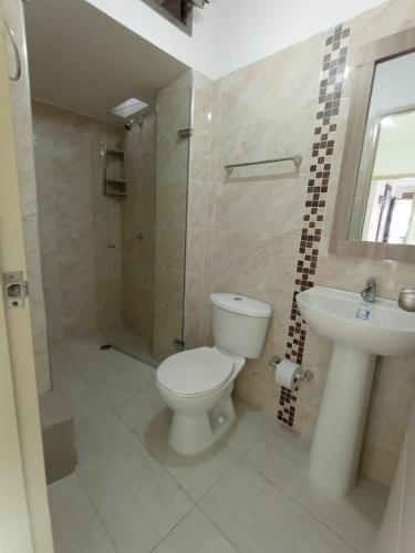 辛塞莱霍Hotel Palermo Sincelejo的一间带卫生间和水槽的浴室
