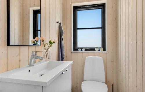 约灵Pet Friendly Home In Hjrring With Wifi的一间带水槽和卫生间的浴室以及窗户。