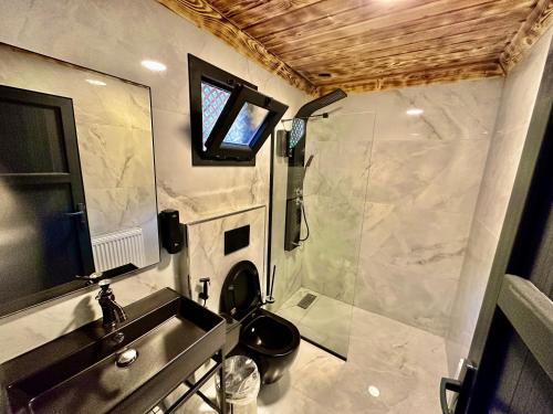 贾马里海姆森TUVA VİLLA Bungalov的浴室配有卫生间、盥洗盆和淋浴。