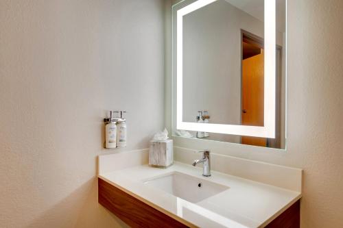 拉戈I-95国会环城公路拉戈快捷假日酒店的一间带水槽和镜子的浴室