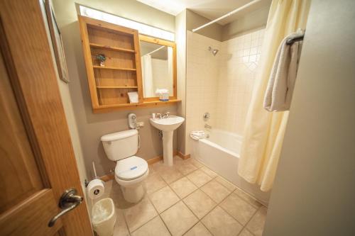 基斯通Buffalo Lodge 8320的一间带卫生间和水槽的浴室