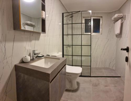 亚喀巴Byblos Deluxe的浴室配有卫生间、盥洗盆和淋浴。