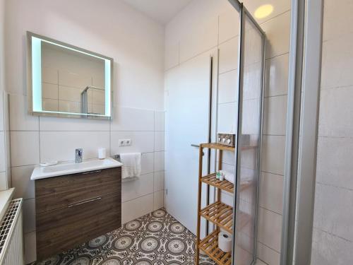 耶拿Hotel Gleis 3viertel Jena的浴室配有盥洗盆和带镜子的淋浴
