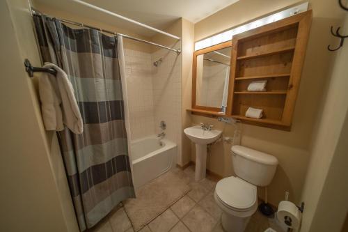 基斯通Buffalo Lodge 8381的一间带卫生间和水槽的浴室