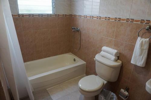圣多明各Hermoso Apartamento Cerca de la Embajada Americana的浴室配有卫生间、浴缸和水槽。
