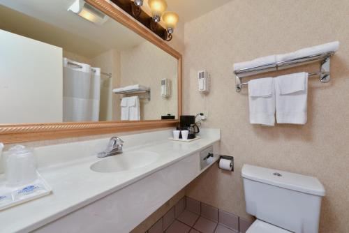 圣何塞圣何塞美国最佳价值旅馆的一间带水槽、卫生间和镜子的浴室