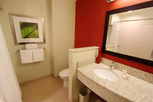 奥尼昂塔奥尼昂塔万怡酒店的一间带水槽、卫生间和镜子的浴室