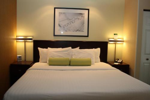 摩根敦摩根敦春季山丘套房酒店的一间卧室配有一张带两盏灯的大型白色床。