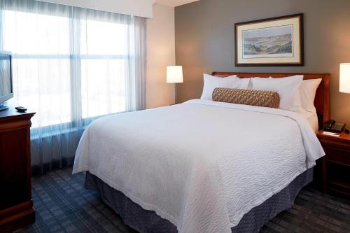 明尼阿波利斯明尼阿波利斯市中心酒店的酒店客房设有一张大床和一台电视。