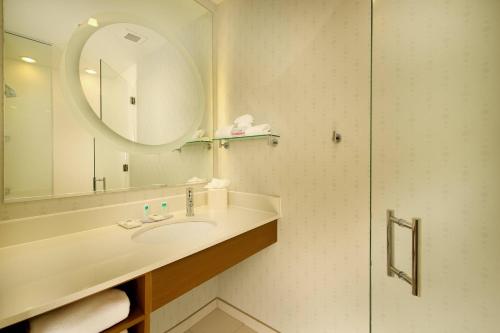 圣安东尼奥万豪圣安东尼奥海洋世界®/拉克兰春季山丘套房酒店的一间带水槽和镜子的浴室