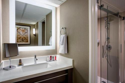 圣安东尼奥圣安东尼奥万豪河滨酒店的一间带水槽、镜子和淋浴的浴室