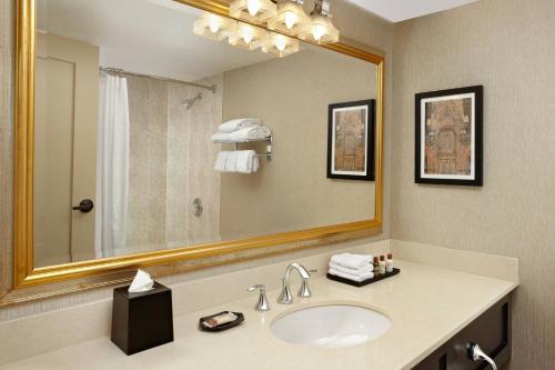 渥太华渥太华喜来登酒店的一间带水槽和大镜子的浴室
