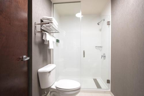 萨凡纳萨凡纳I95 万豪春丘套房酒店的一间带卫生间和玻璃淋浴间的浴室