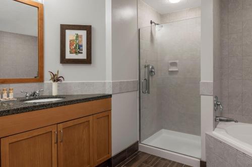 南太浩湖Marriott Grand Residence Club, Lake Tahoe的带淋浴和盥洗盆的浴室