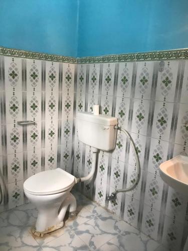 博卡拉GAUTAM GARDEN GUEST HOUSE的一间带卫生间和水槽的浴室