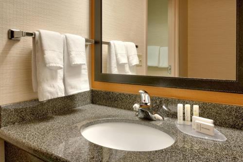 盐湖城盐湖城机场汉普顿套房酒店的浴室的柜台设有水槽和镜子