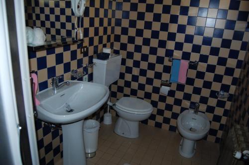 维韦罗内B&B Il Gufetto的一间带卫生间和水槽的浴室