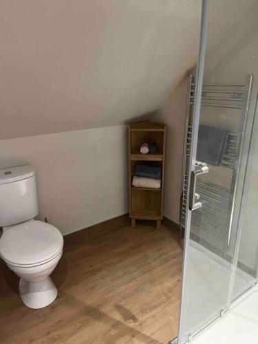 New FerryMid Antrim Modern Apartment的一间带卫生间和玻璃淋浴间的浴室