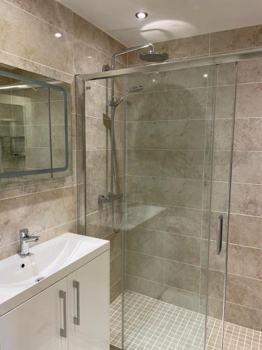 戈尔韦Apartment at Island Cottage, Inishnee, Roundstone的带淋浴和盥洗盆的浴室