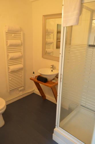 拉苏特兰Le Puy Robin的一间带水槽、卫生间和淋浴的浴室