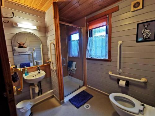 新卡姆诺克Glen Bay - 2 Bed Lodge on Friendly Farm Stay with Private Hot Tub的浴室配有卫生间、盥洗盆和淋浴。