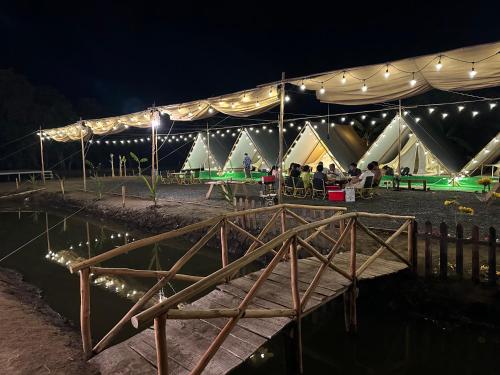 芹蒢SAY Camp Forest的一群人晚上坐在帐篷里