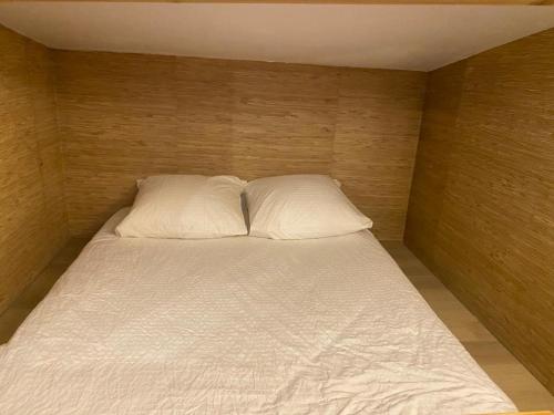 莱克朗兰比塞特尔Superbe et accuiellent appartement的一张带两个白色枕头的床
