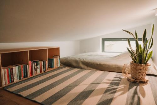 苏普拉希尔Antresola13的一间卧室配有一张床和一张植物桌子