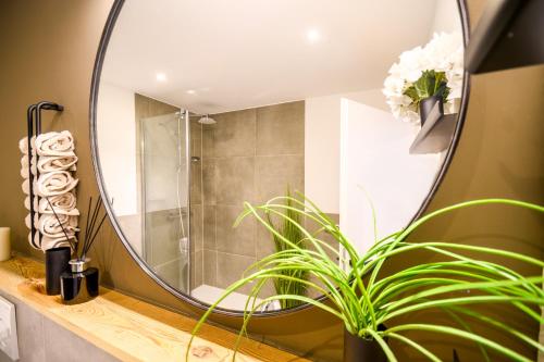 基姆湖畔普林OrangeHome Design Apartment zwischen See & Zentrum的一间带镜子和植物的浴室