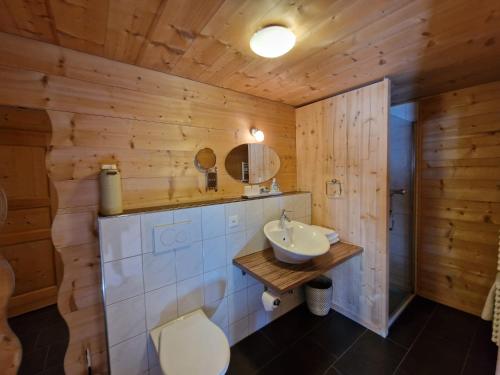 圣安特尼恩Sonja's Michelshof的一间带水槽和卫生间的浴室