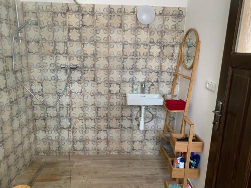 KrompachChalupa Krompach的带淋浴和盥洗盆的浴室