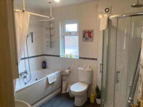 贝尔法斯特Mountroyal Victorian Self Catering Apartment 2的带浴缸、卫生间和淋浴的浴室。