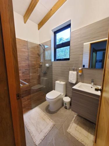 哈拉瓦科阿Villa en la montaña的浴室配有卫生间、淋浴和盥洗盆。
