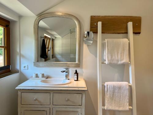 比斯平根Stimbekhof的一间带水槽和镜子的浴室