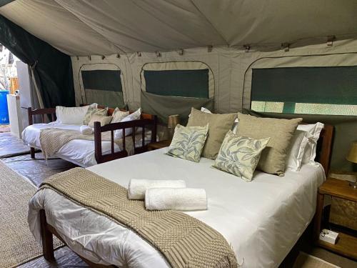 蓬塔杜欧鲁MOZBEVOK Coconut View Resort的一间帐篷内带两张床的卧室