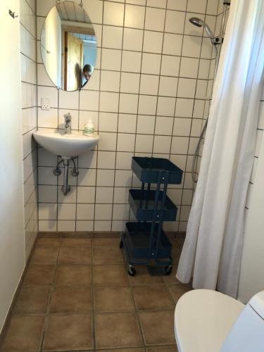 Uggerby桑德加德农家乐的一间带水槽和镜子的浴室