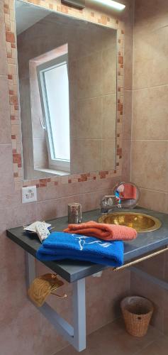 SavièseL'Aurosée的浴室设有水槽和镜子