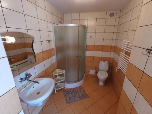RyczówAgrostrzecha的带淋浴、盥洗盆和卫生间的浴室