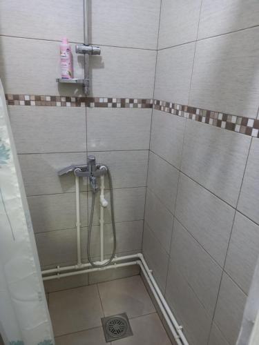 尼什Apartman Mici的带淋浴的浴室