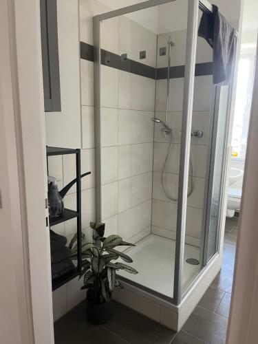 德累斯顿Monteur-& Ferienwohnung Eichmann的浴室里设有玻璃门淋浴