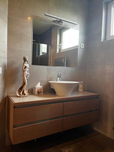 布莱德Guest house TOMAN的一间带水槽和女人雕像的浴室