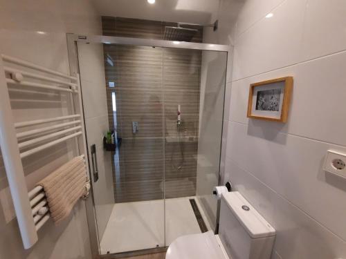 希洪Apartamento Dindurra Centro Playa的一间带卫生间和玻璃淋浴间的浴室