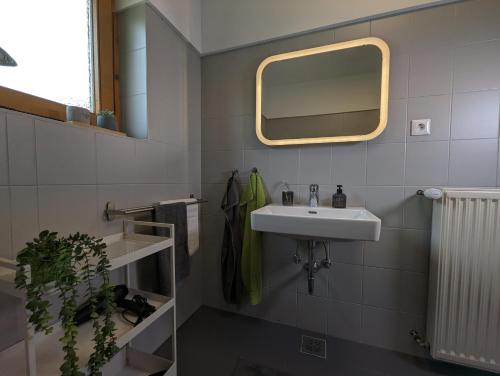 德布里阿赫Angerpartments-Sonnige große Wohnung mit Balkon und kostenlosen Parkplatz的一间带水槽和镜子的浴室