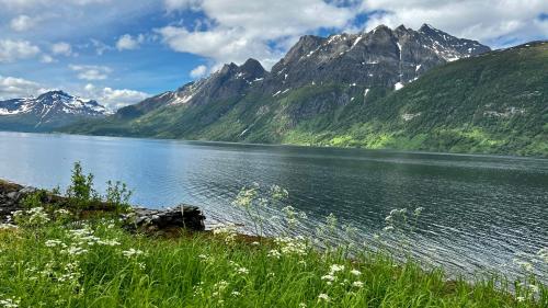 GratangenNorwegian Dream的享有以山脉为背景的湖泊美景