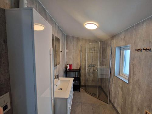 特罗姆瑟Northern living 2 room with shared bathroom的带淋浴和盥洗盆的浴室