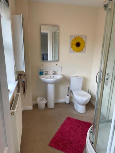 Kirkby in AshfieldSpacious 8 bed house Kirkby in Ashfield Nottingham的一间带水槽、卫生间和镜子的浴室