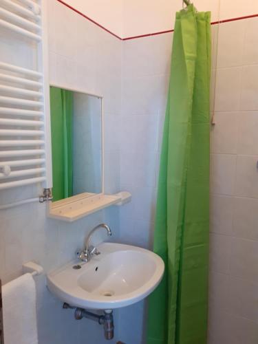 里米尼Hotel Migani的浴室设有水槽和绿色的淋浴帘